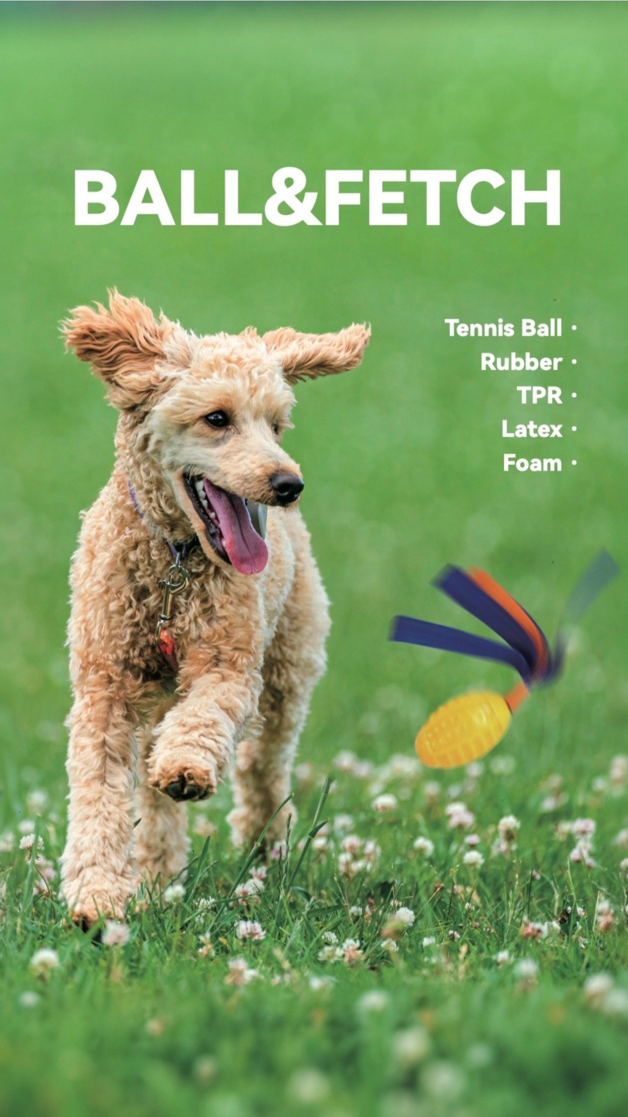 Ball & Fetch