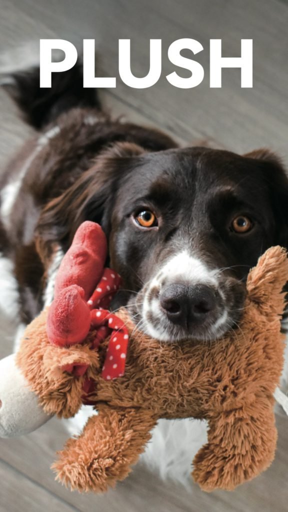 Plush or TPR? Picking the Right Dog Toy to Stock